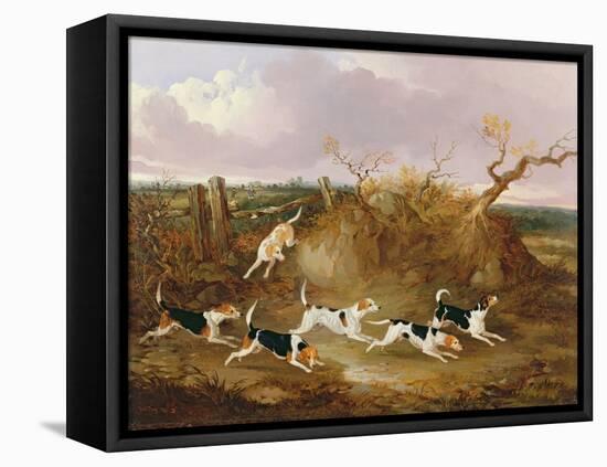 Beagles in Full Cry, 1845-John Dalby-Framed Stretched Canvas