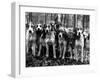 Beagles in the Forest of Fontainebleau-Alfred Eisenstaedt-Framed Photographic Print