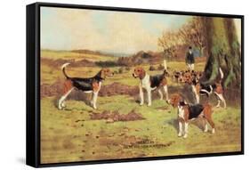 Beagles-Thomas Ivester Llyod-Framed Stretched Canvas