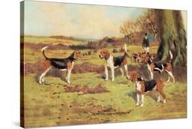 Beagles-Thomas Ivester Llyod-Stretched Canvas