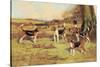 Beagles-Thomas Ivester Llyod-Stretched Canvas