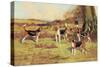 Beagles-Thomas Ivester Llyod-Stretched Canvas