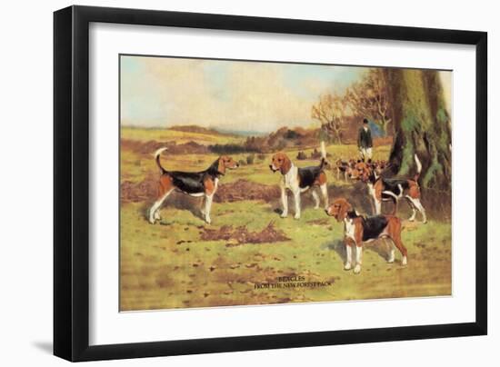 Beagles-Thomas Ivester Llyod-Framed Art Print