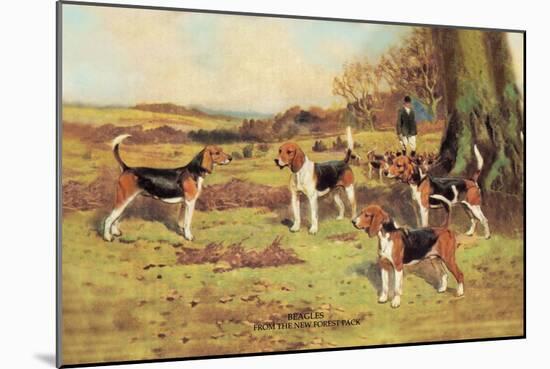 Beagles-Thomas Ivester Llyod-Mounted Art Print