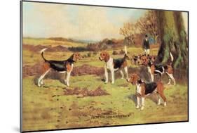 Beagles-Thomas Ivester Llyod-Mounted Art Print