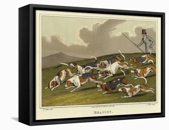 Beagles-Henry Thomas Alken-Framed Stretched Canvas