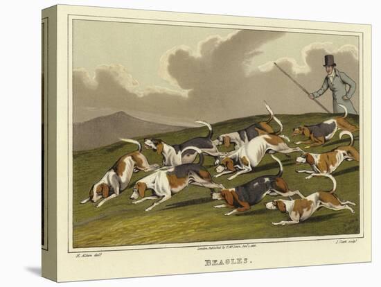 Beagles-Henry Thomas Alken-Stretched Canvas