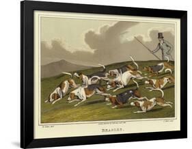 Beagles-Henry Thomas Alken-Framed Giclee Print