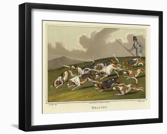 Beagles-Henry Thomas Alken-Framed Giclee Print