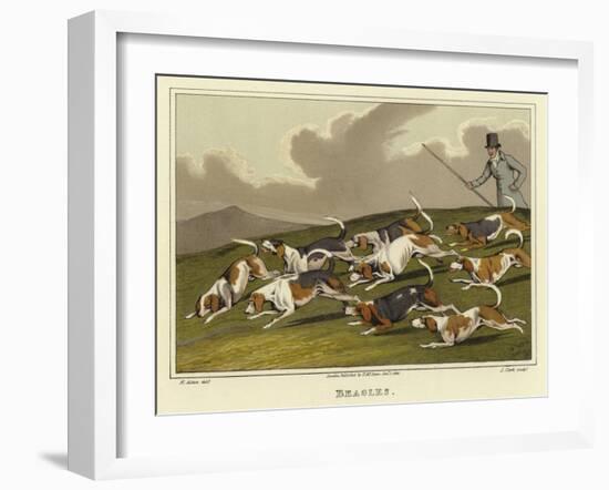 Beagles-Henry Thomas Alken-Framed Giclee Print