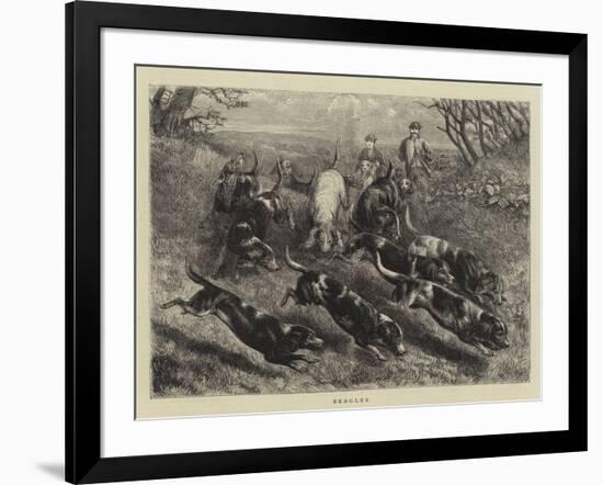 Beagles-null-Framed Giclee Print