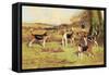 Beagles-Thomas Ivester Llyod-Framed Stretched Canvas