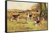 Beagles-Thomas Ivester Llyod-Framed Stretched Canvas