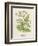 Beaked Parsley-Mabel E. Step-Framed Art Print