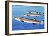 Beaked Salmon (Gonorhynchus Gonorhynchus), Gonorynchidae-null-Framed Giclee Print