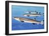 Beaked Salmon (Gonorhynchus Gonorhynchus), Gonorynchidae-null-Framed Giclee Print