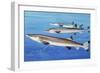 Beaked Salmon (Gonorhynchus Gonorhynchus), Gonorynchidae-null-Framed Giclee Print