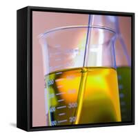 Beaker Filled with Liquid-null-Framed Stretched Canvas