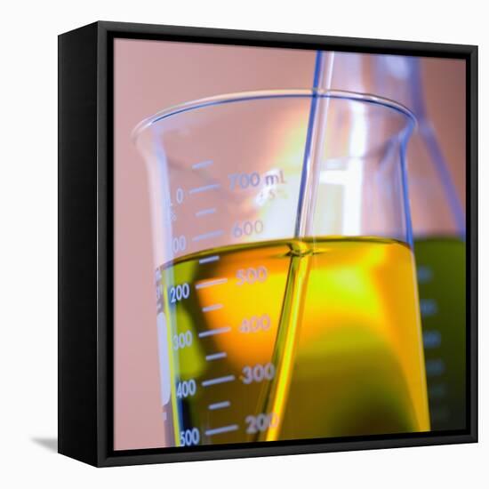 Beaker Filled with Liquid-null-Framed Stretched Canvas