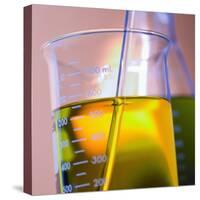Beaker Filled with Liquid-null-Stretched Canvas