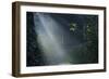 Beam of Light-Istv?n Nagy-Framed Photographic Print