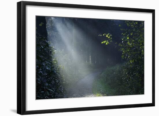 Beam of Light-Istv?n Nagy-Framed Photographic Print