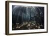 Beams of Sunlight Filter Among the Prop Roots of a Mangrove Forest-Stocktrek Images-Framed Photographic Print