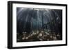 Beams of Sunlight Filter Among the Prop Roots of a Mangrove Forest-Stocktrek Images-Framed Photographic Print