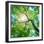 Beams of the Sun-Triff-Framed Photographic Print