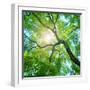 Beams of the Sun-Triff-Framed Photographic Print