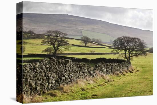 Beamsley Beacon from Storiths, North Yorkshire, Yorkshire, England, United Kingdom, Europe-Mark-Stretched Canvas