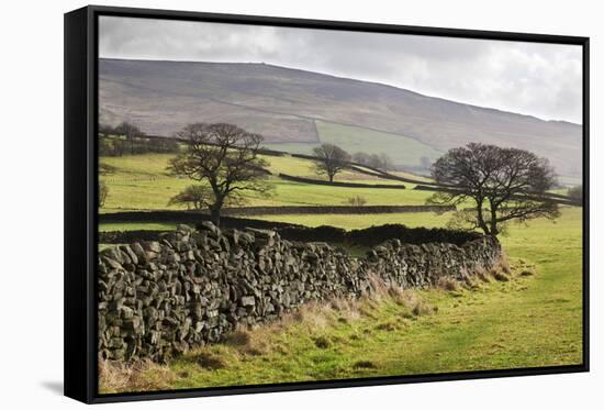 Beamsley Beacon from Storiths, North Yorkshire, Yorkshire, England, United Kingdom, Europe-Mark-Framed Stretched Canvas