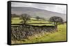 Beamsley Beacon from Storiths, North Yorkshire, Yorkshire, England, United Kingdom, Europe-Mark-Framed Stretched Canvas