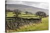 Beamsley Beacon from Storiths, North Yorkshire, Yorkshire, England, United Kingdom, Europe-Mark-Stretched Canvas