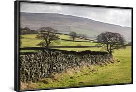 Beamsley Beacon from Storiths, North Yorkshire, Yorkshire, England, United Kingdom, Europe-Mark-Framed Photographic Print