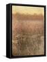 Bean Field Dusk-Lincoln Seligman-Framed Stretched Canvas