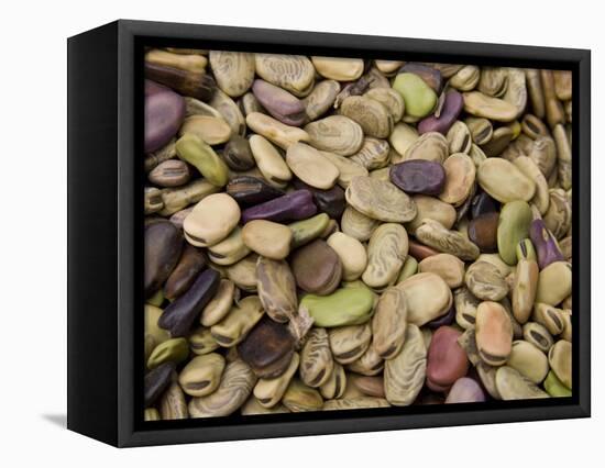 Beans Displayed in Market, Cuzco, Peru-Merrill Images-Framed Stretched Canvas