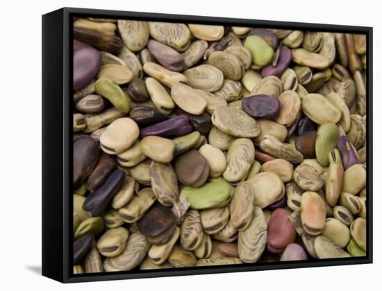Beans Displayed in Market, Cuzco, Peru-Merrill Images-Framed Stretched Canvas