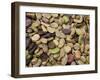 Beans Displayed in Market, Cuzco, Peru-Merrill Images-Framed Photographic Print