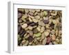 Beans Displayed in Market, Cuzco, Peru-Merrill Images-Framed Photographic Print