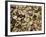 Beans Displayed in Market, Cuzco, Peru-Merrill Images-Framed Photographic Print