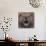 Bear 2-Harro Maass-Giclee Print displayed on a wall