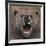 Bear 2-Harro Maass-Framed Giclee Print