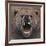 Bear 2-Harro Maass-Framed Giclee Print