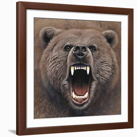 Bear 2-Harro Maass-Framed Giclee Print