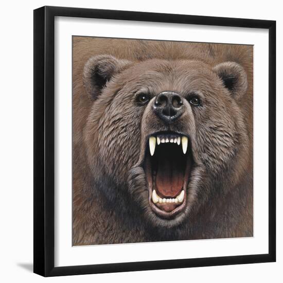 Bear 2-Harro Maass-Framed Giclee Print