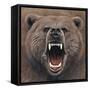 Bear 2-Harro Maass-Framed Stretched Canvas