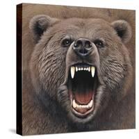 Bear 2-Harro Maass-Stretched Canvas