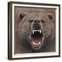 Bear 2-Harro Maass-Framed Giclee Print