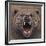 Bear 2-Harro Maass-Framed Giclee Print